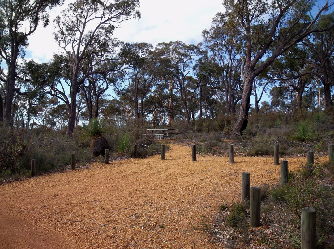 Williams Nature Reserve-Williams必去景点