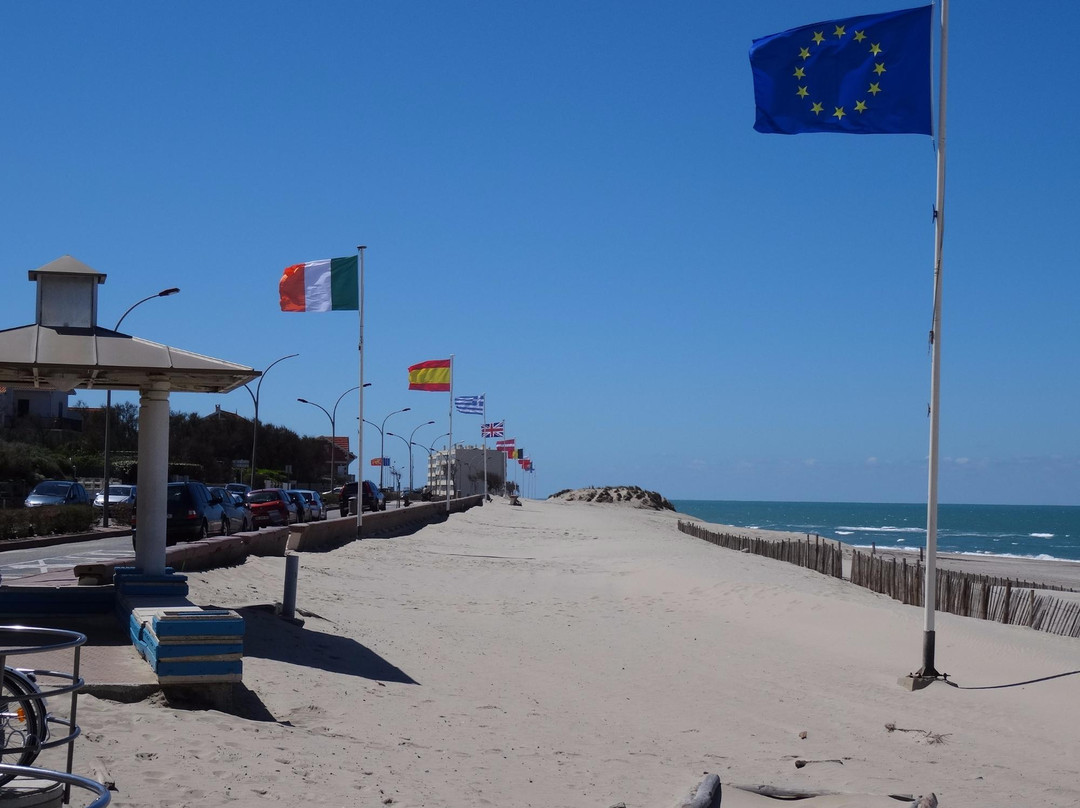 Plage Centrale景点图片