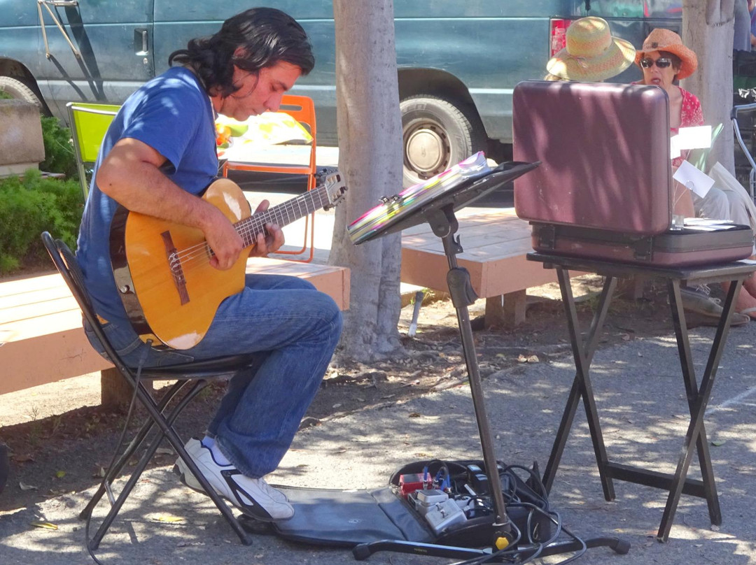 Del Mar Farmers Market/Artisan Open Air Market-德尔马必去景点
