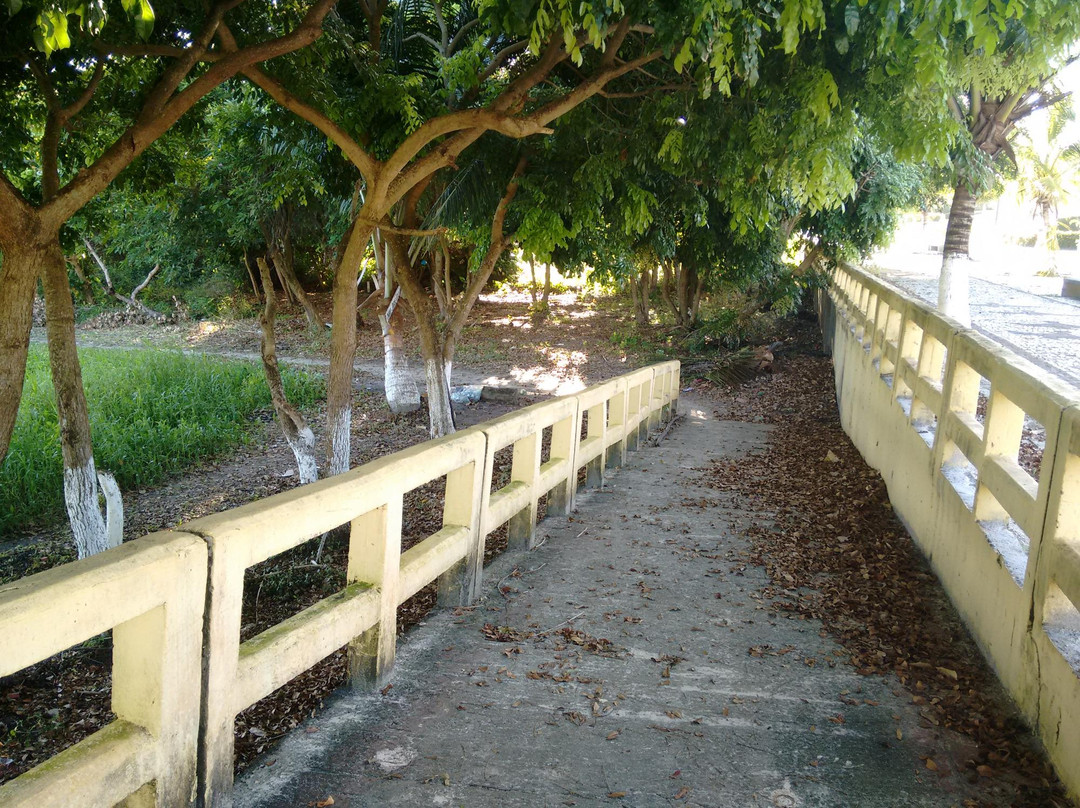 Praia do Maçarico-Salinopolis必去景点