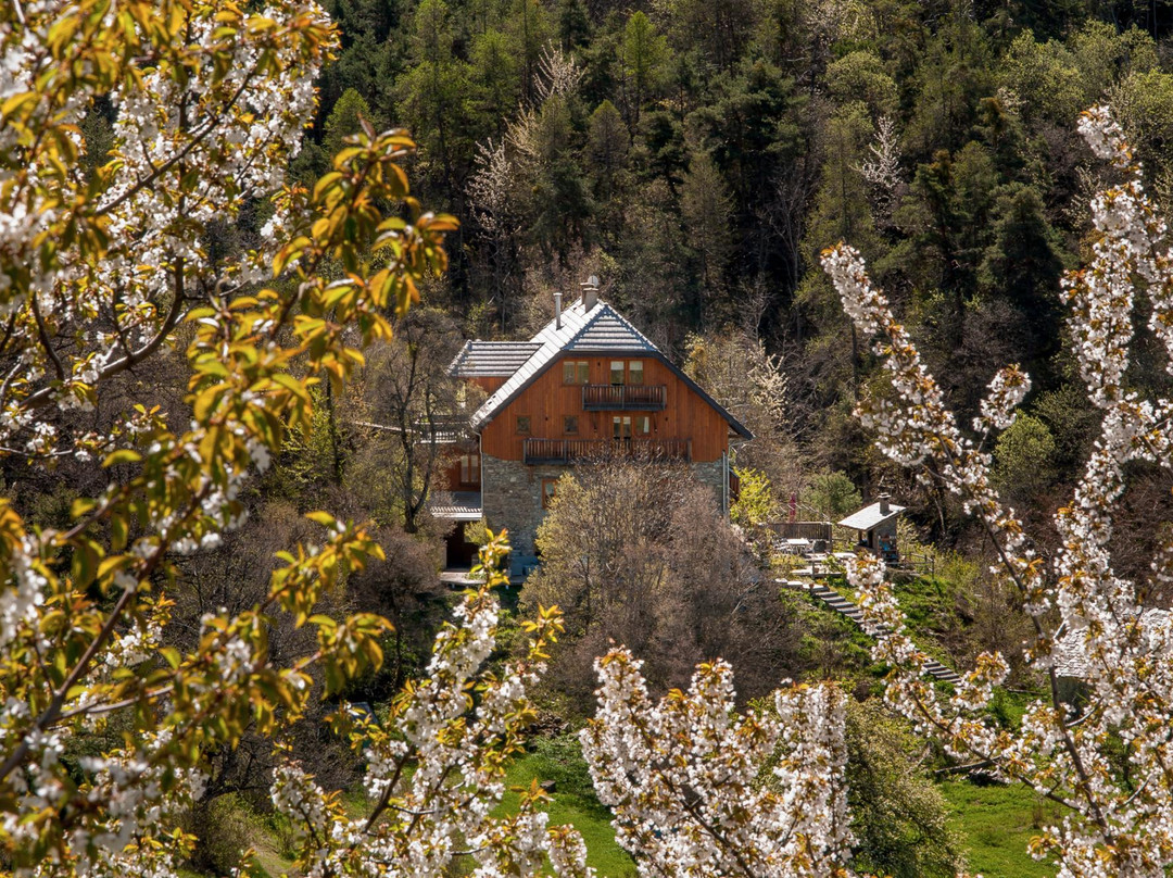 Le Moulin Ollivier主图