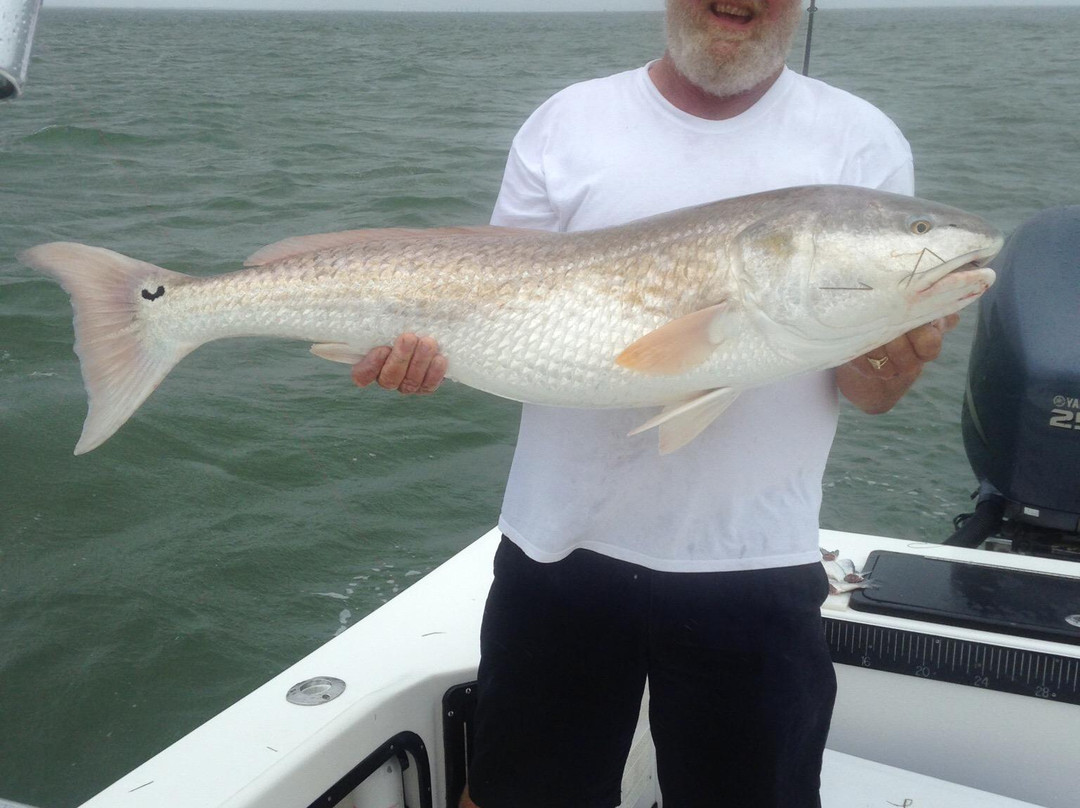 The Hook Up Charter-Hatteras必去景点