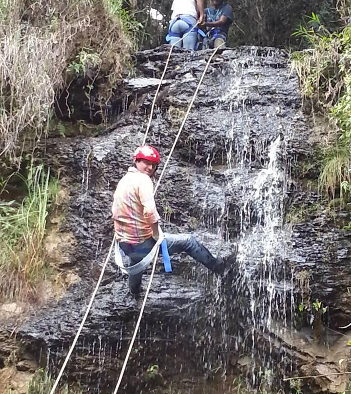 Mayoral Park-莱瓦镇必去景点