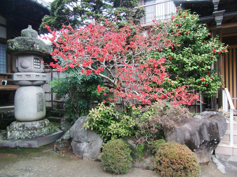 Tenju-in-热海市必去景点