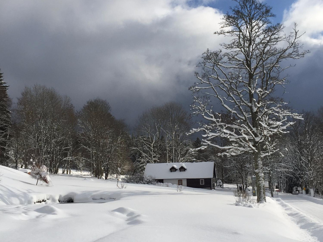 Stozec酒店住宿-Hotel Ceske Zleby