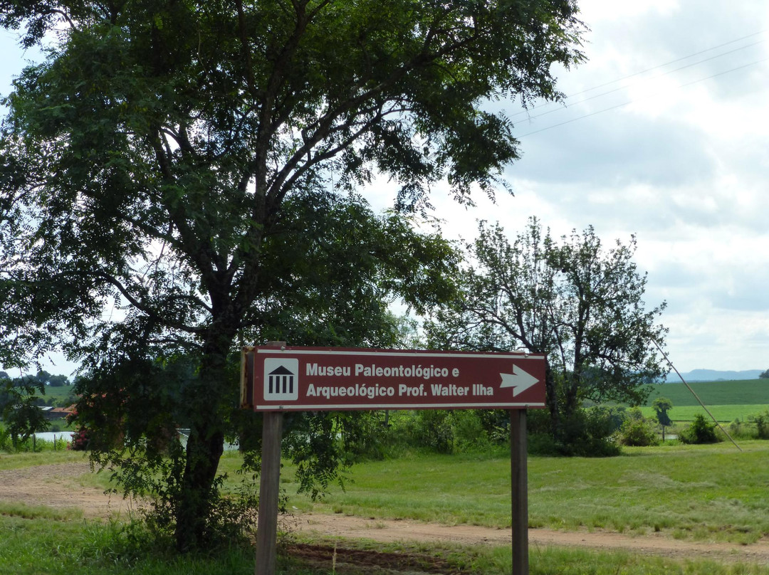 Museu Arqueológico e Paleontológico Walter Ilha景点图片