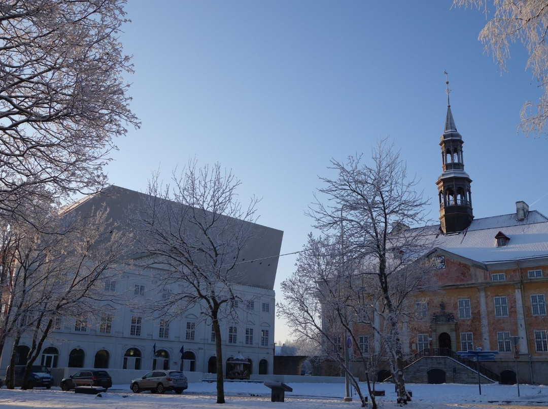 Narva University College景点图片