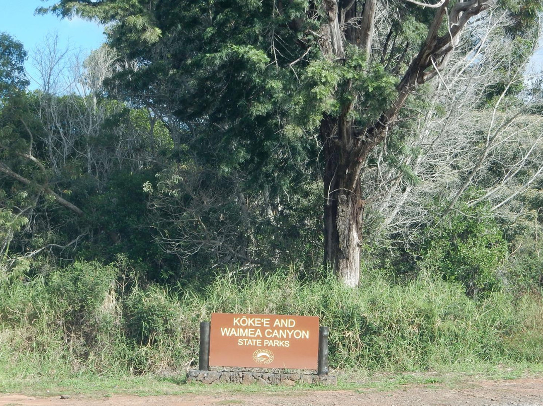 Kukui Trail-威美亚必去景点