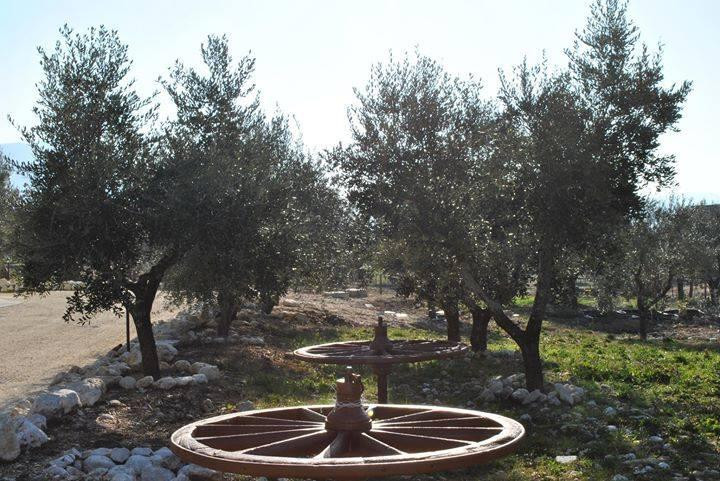 Azienda Agricola L'Arco Antico-Pozzilli必去景点
