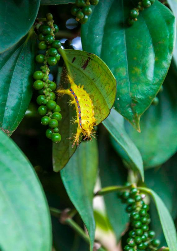 Vietnam Easy Riders-大勒必去景点