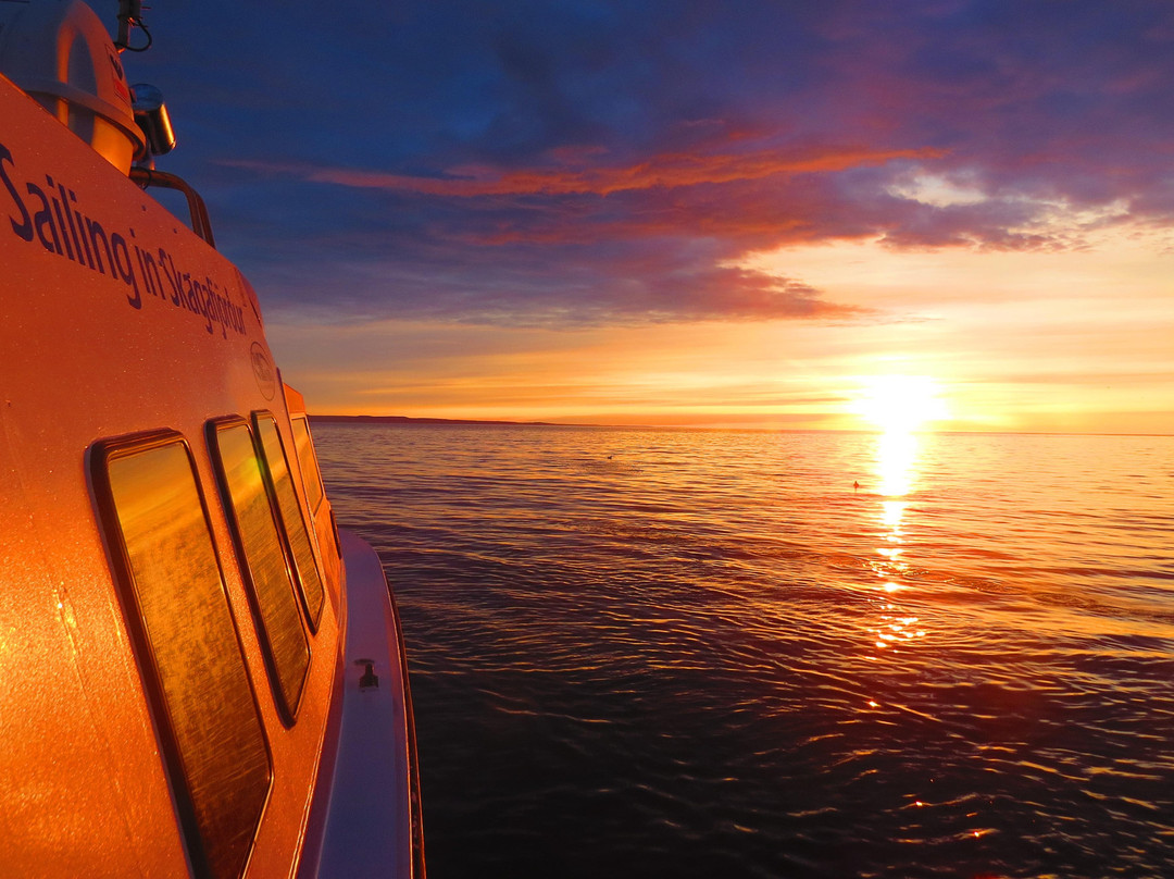 Sailing in Skagafjordur-Hofsos必去景点