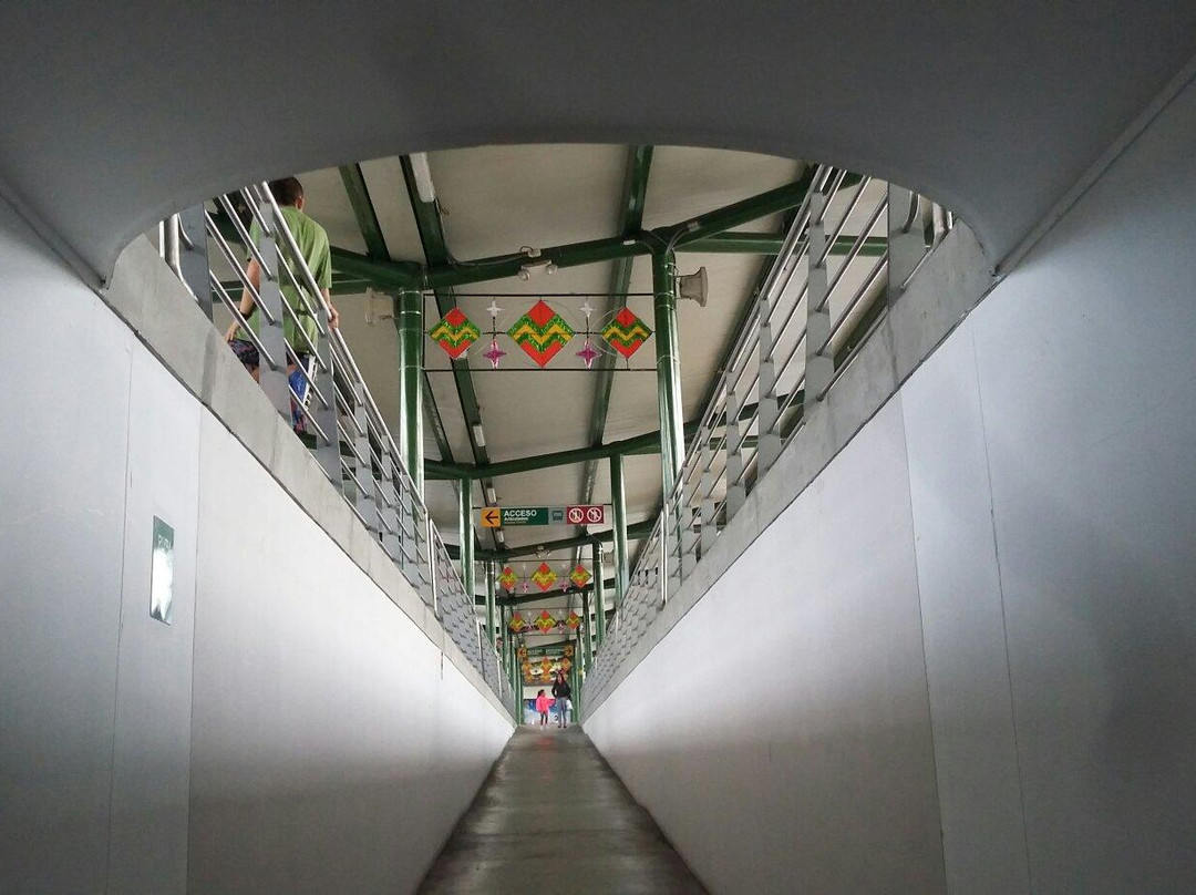 Megabus-佩雷拉必去景点