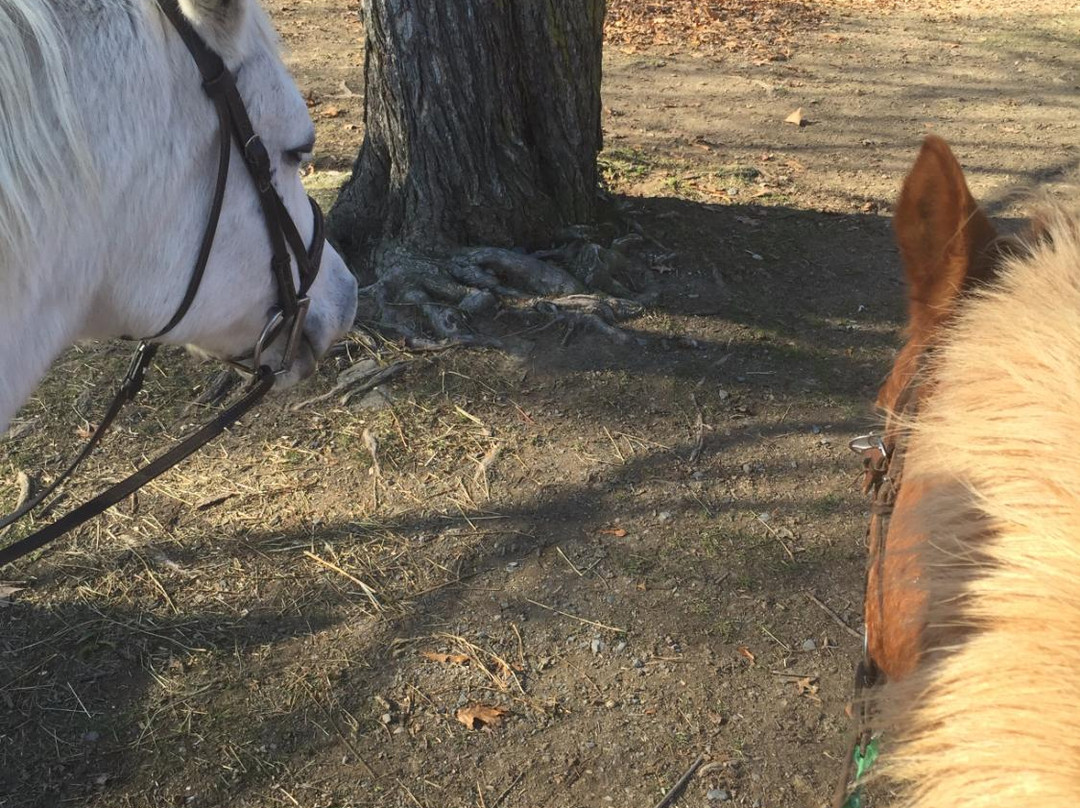 My Saddle Brook Farm-Walden必去景点