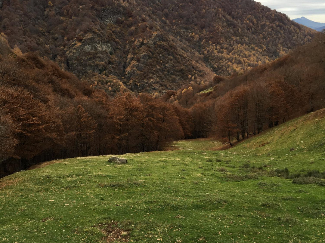 The Monte Tamaro - Monte Lema Traverse-Rivera必去景点