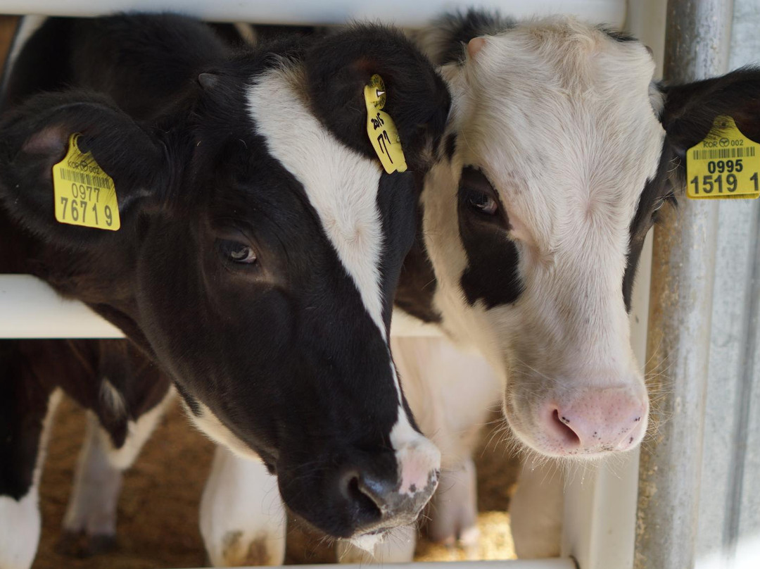 Agroland Taesin Farm-唐津郡必去景点