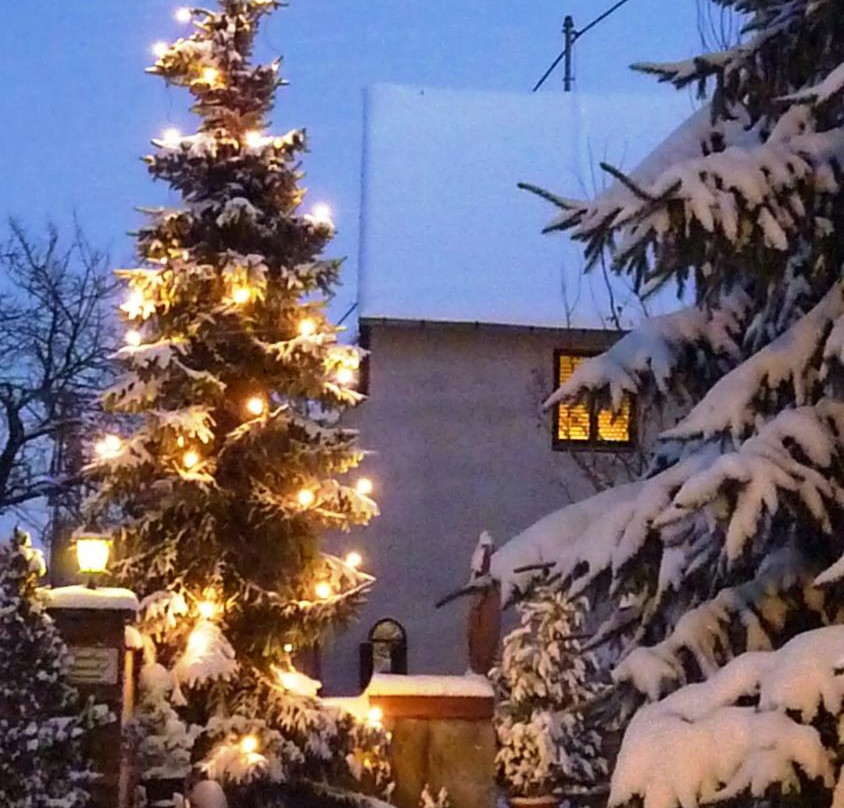 Landhaus Tannenhof主图