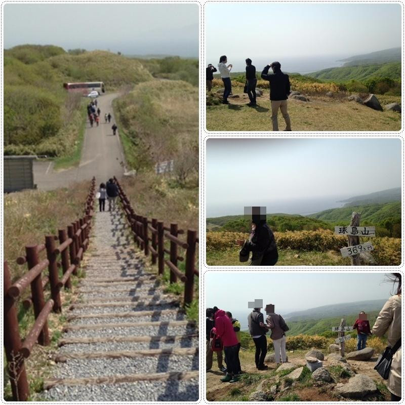 Mt.Tamashima Lookout-奥尻町必去景点