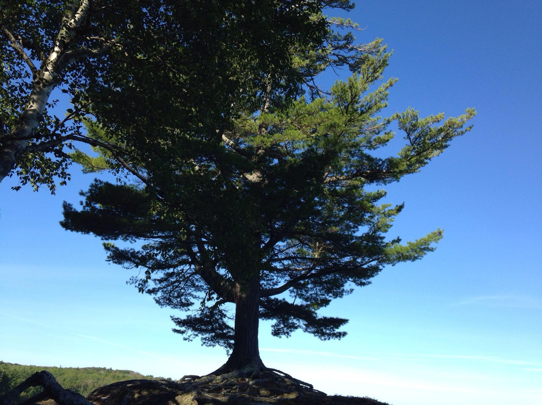 Chapel Rock and Beach-缪尼辛必去景点