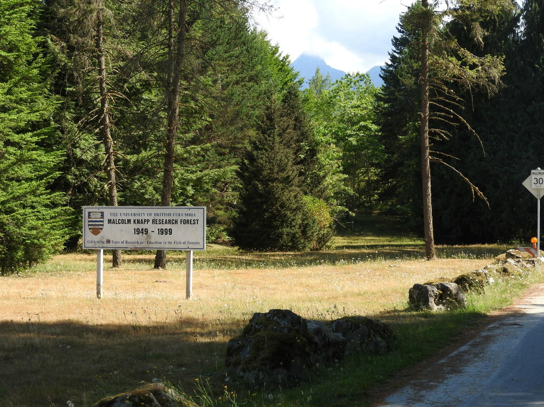 Malcolm Knapp Research Forest-枫树岭必去景点