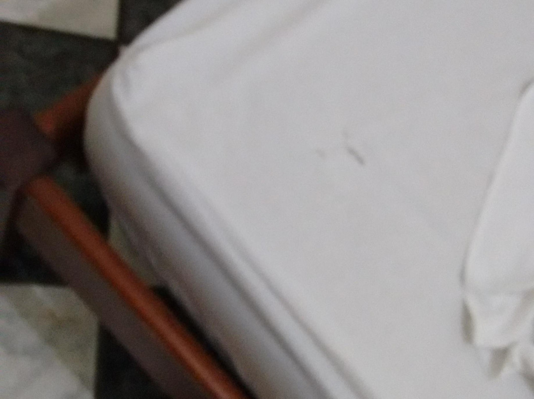 Harmonia Caraguatatuba Hotel主图