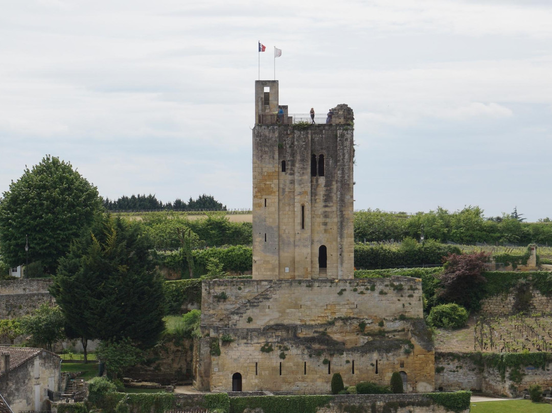 La Tour du Chateau du Roy景点图片