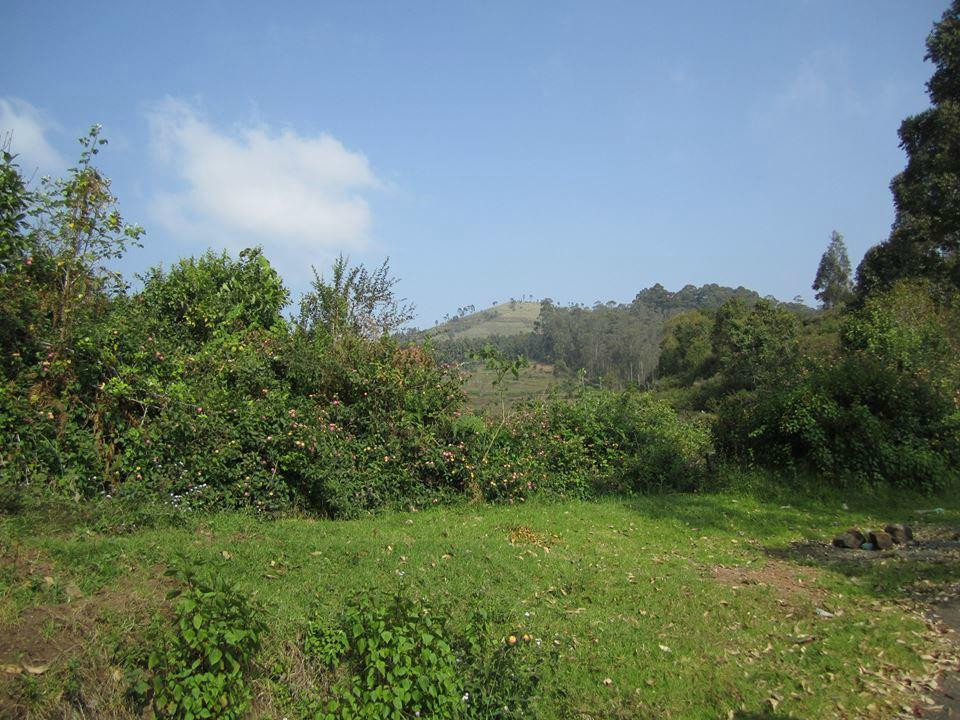 Perumal Peak景点图片