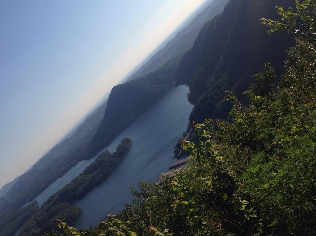 Ocoee Mist Farm Bed and Breakfast主图