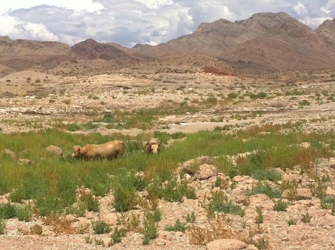 Canyon's End Motel主图