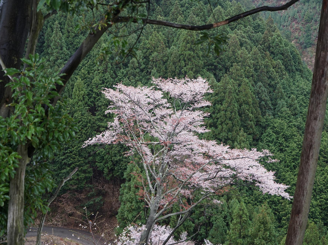 Yoshino-奈良县必去景点