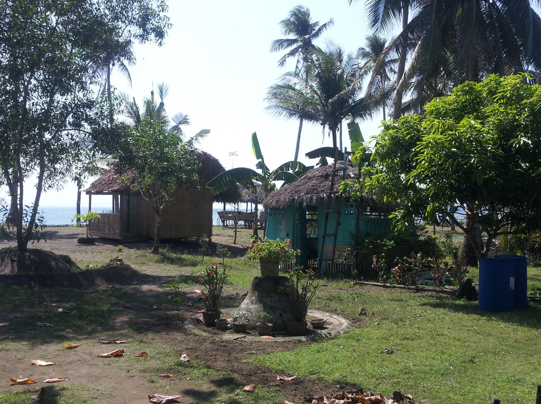 Shoreline Beach Resort主图