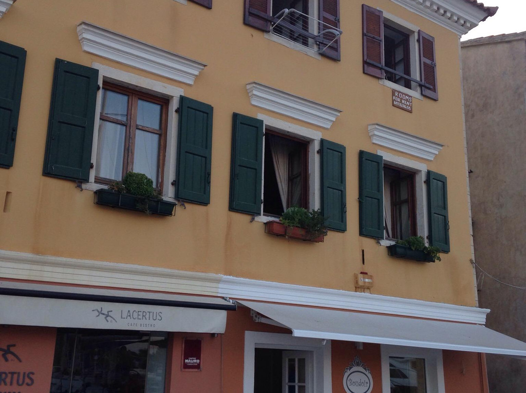 Georgia Rarri Paxoi主图