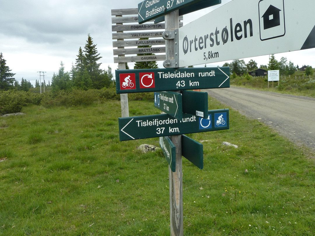 Round Trip of Tisleifjorden Golsfjellet-古尔必去景点