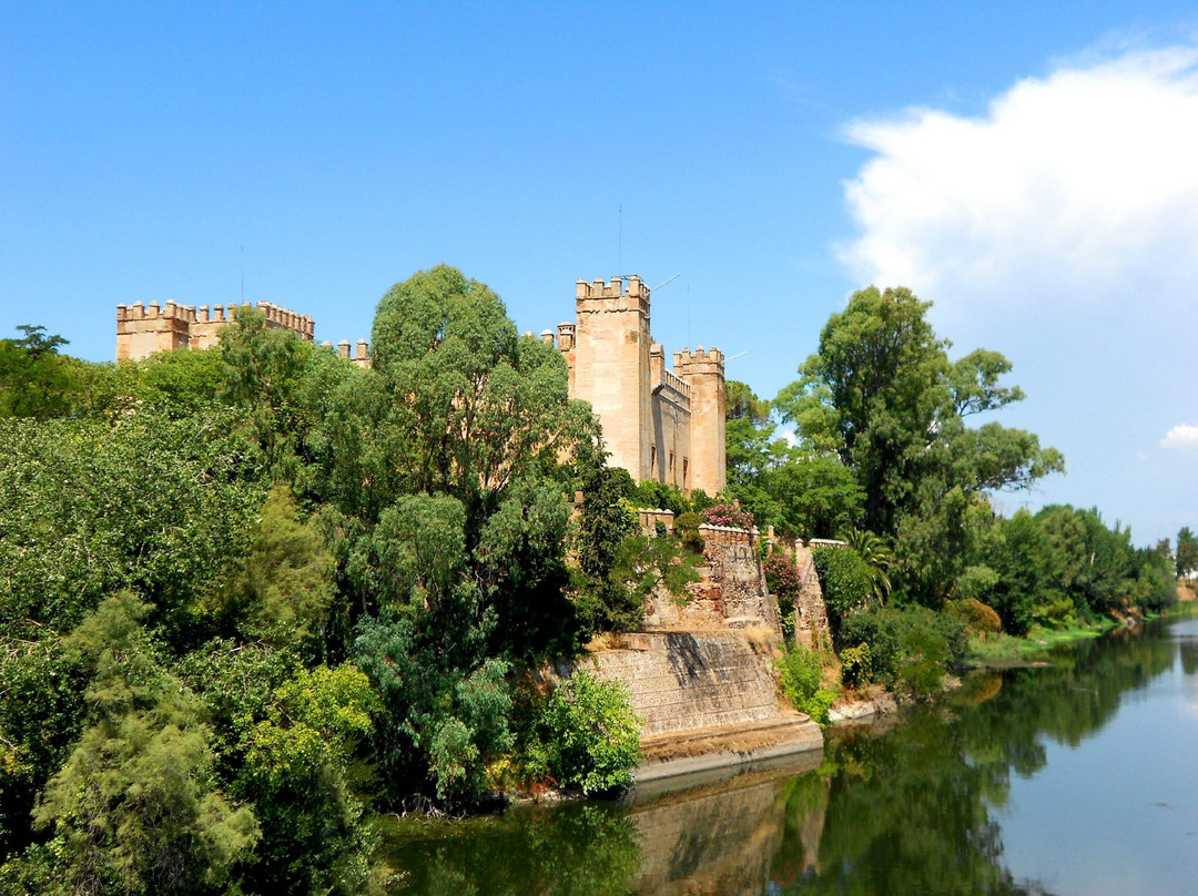 Castillo de Malpica景点图片