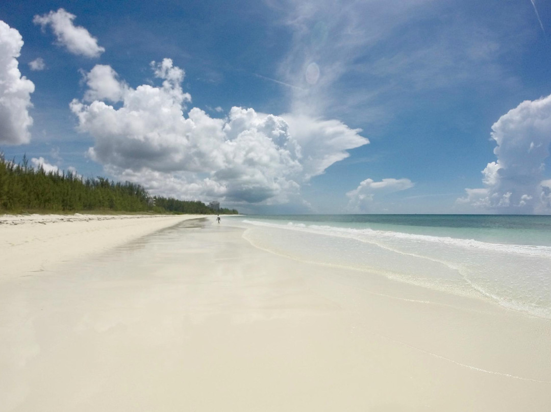 Silver Point Reef-弗里波特必去景点