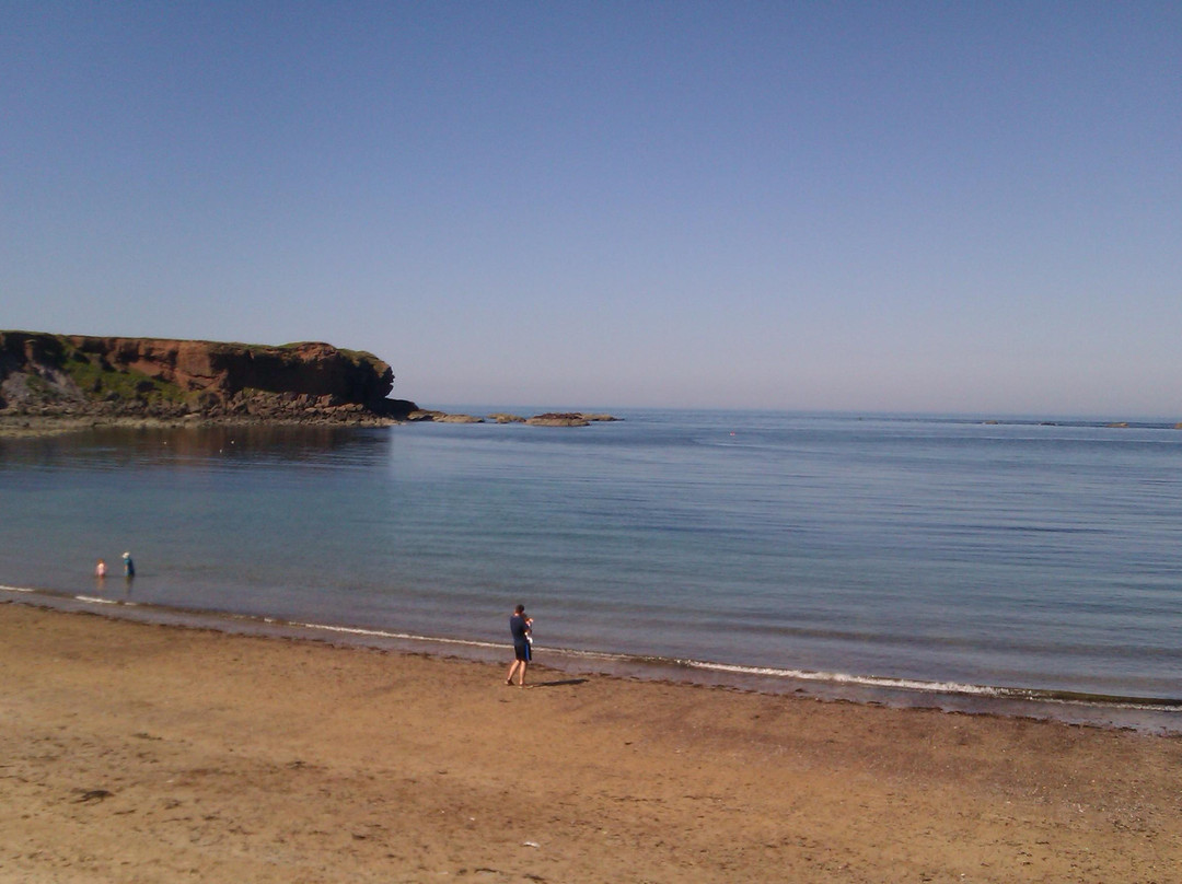 Eyemouth Harbour-Eyemouth必去景点