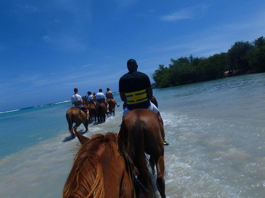 JusTours Jamaica - Horseback Ride 'n' Swim Tour-Lucea必去景点