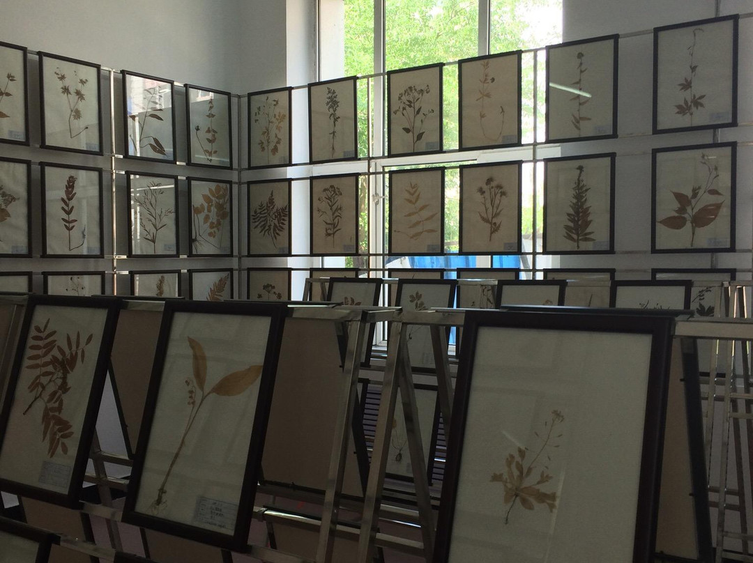 伊春科技馆-伊春市必去景点