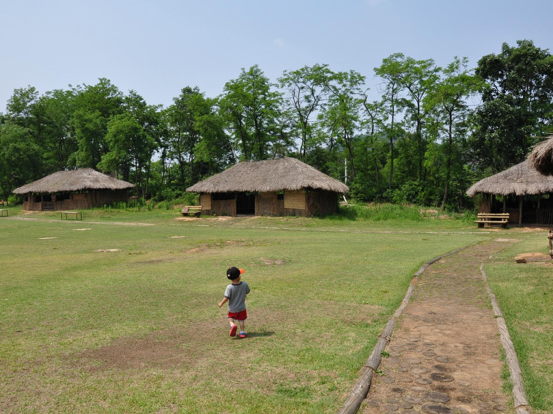 Jeongok-ri Prehistoric Site-涟川郡必去景点