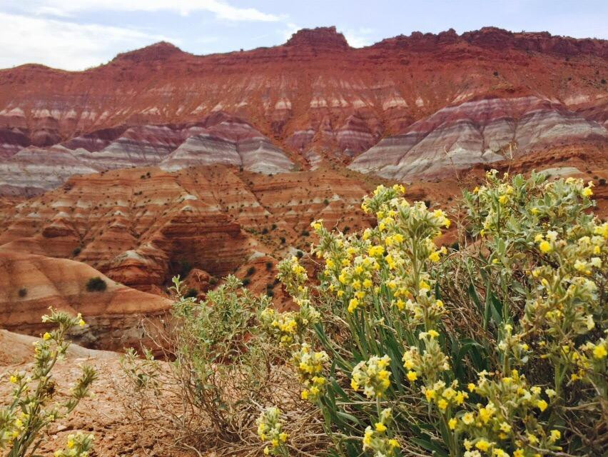 Old Paria-卡纳布必去景点