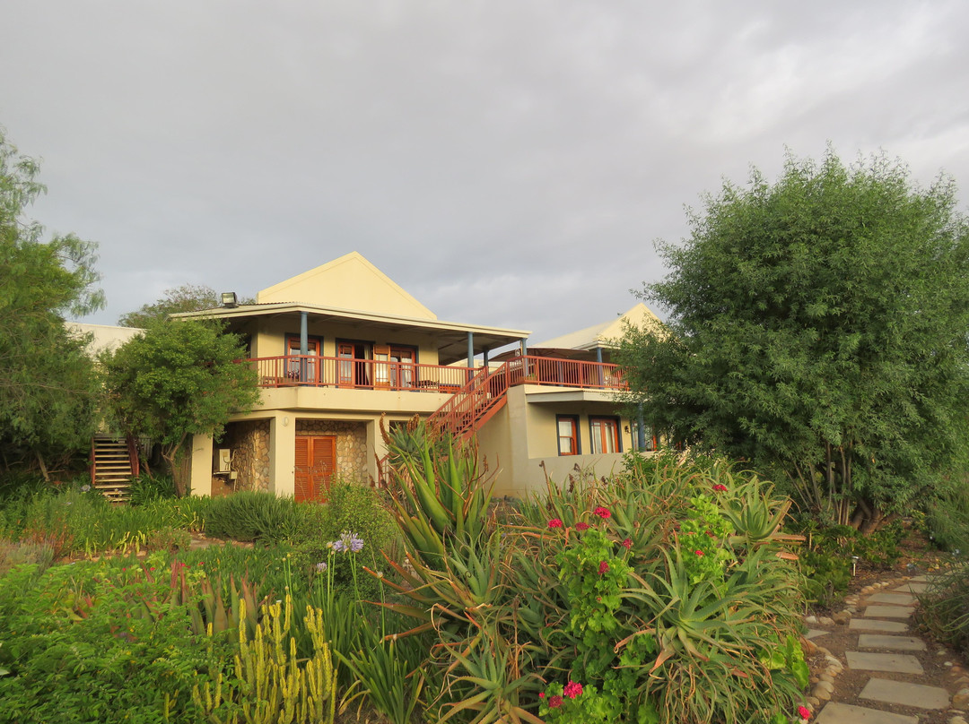 Calitzdorp酒店住宿-Calitzdorp Country House