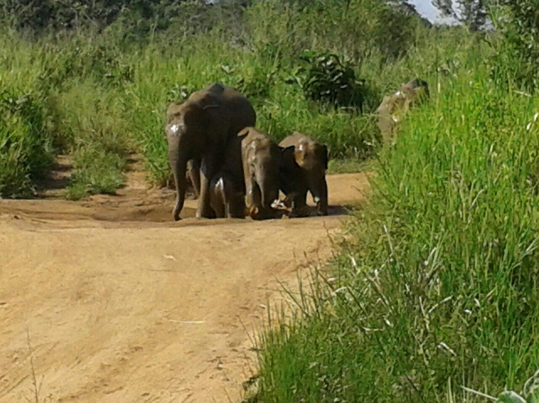Fernando Adventure Safaries-哈巴拉娜必去景点
