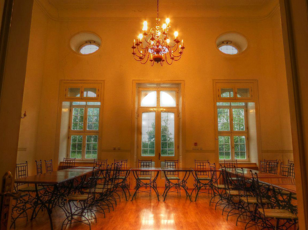 Szechenyi Vadaszkastely景点图片