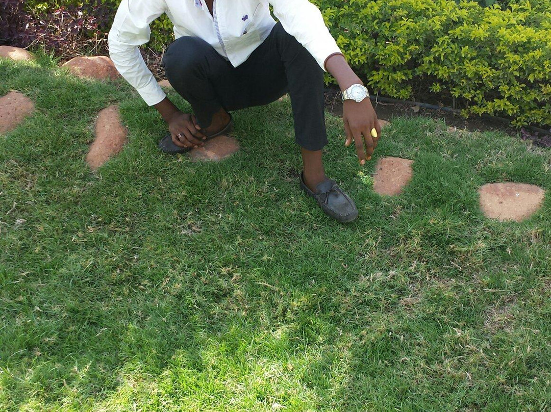 Khartoum War Cemetery-喀土穆必去景点