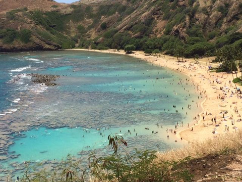 Ike's Private Sunrise & Island Tours-火奴鲁鲁必去景点