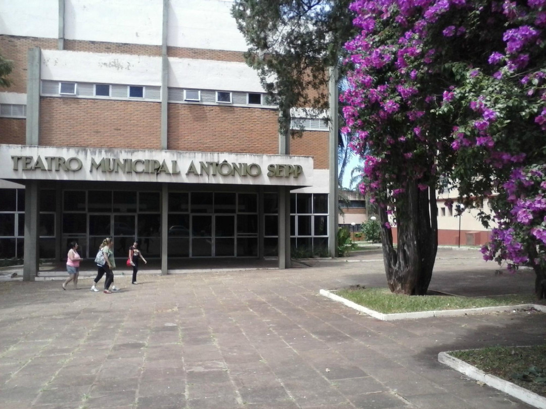 Padre Antonio Sepp Municipal Theater景点图片