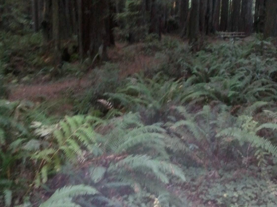 Florence Keller County Park & Campground景点图片