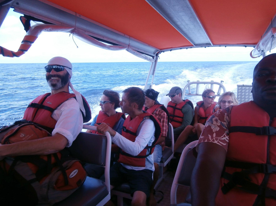 Chagga Tours - Day Tours-莫西必去景点