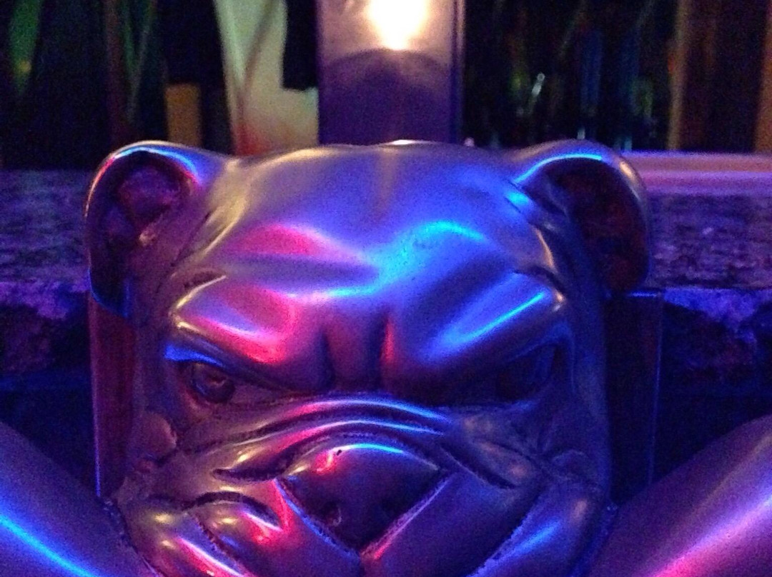 The Bulldog夜店-阿姆斯特丹必去景点