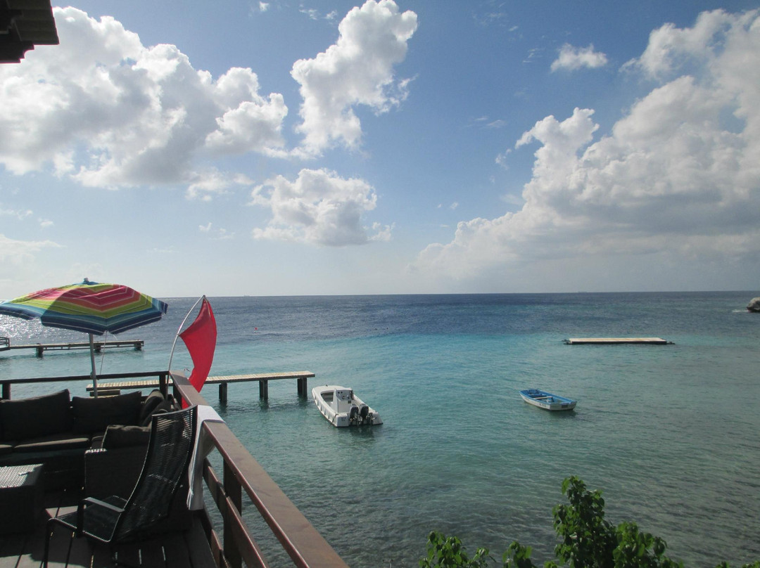 Diveversity Piscadera-库拉索必去景点