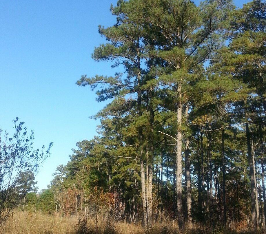 Birdsong Nature Center-Thomasville必去景点